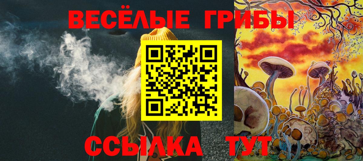 Заводоуковск  Псилоцибиновые грибы Psilocybine cubensis  как найти закладки  Вход с VPN 