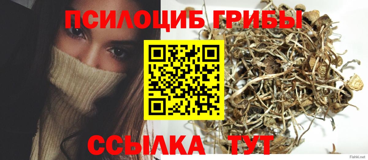 Галлюциногенные грибы мицелий Заводоуковск