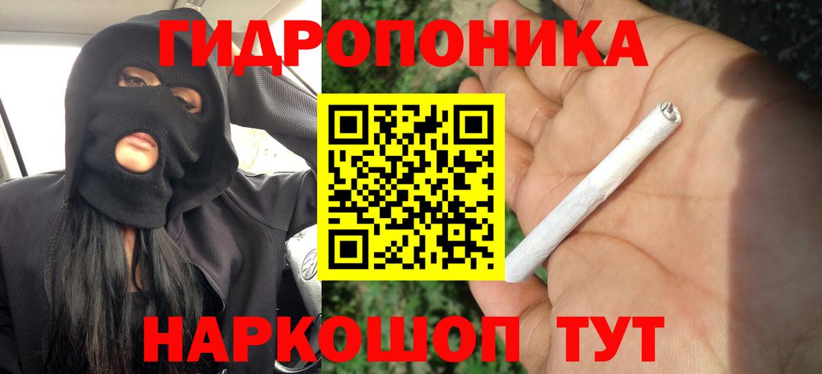 Марихуана семена  Вход с VPN  Заводоуковск  Каннабис AK-47  МАРИХУАНА OG Kush 